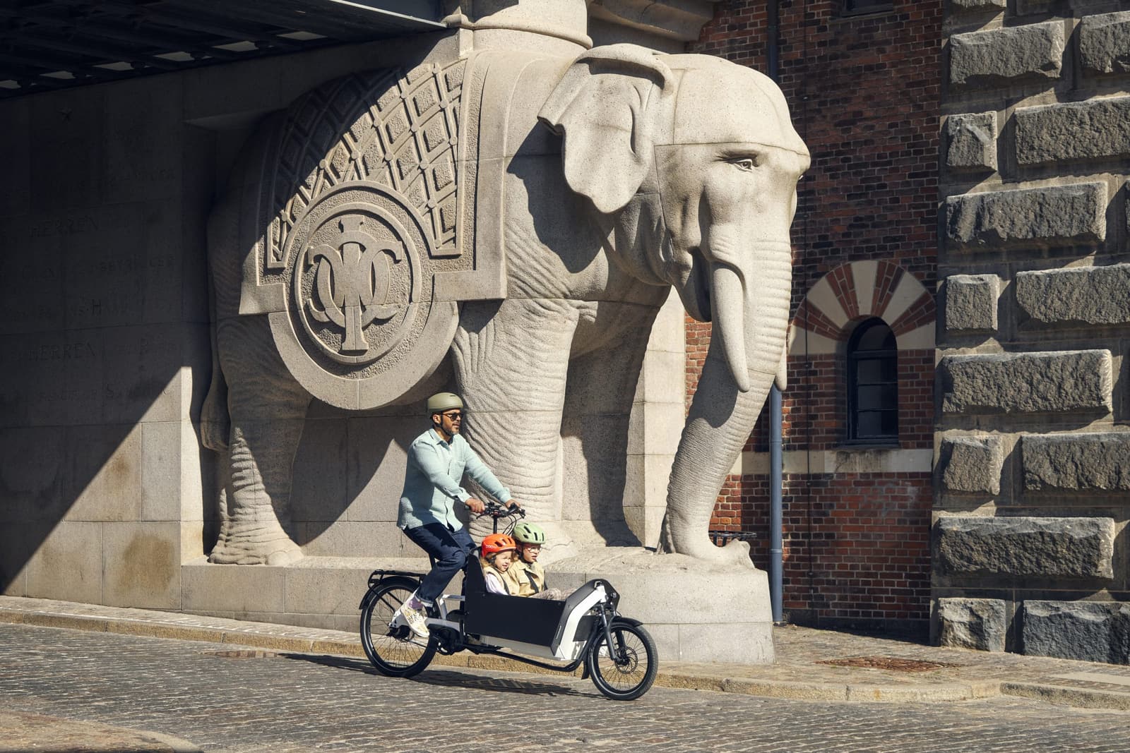 Riese and Muller Transporter, premium cargo e-bike delivered to a customer